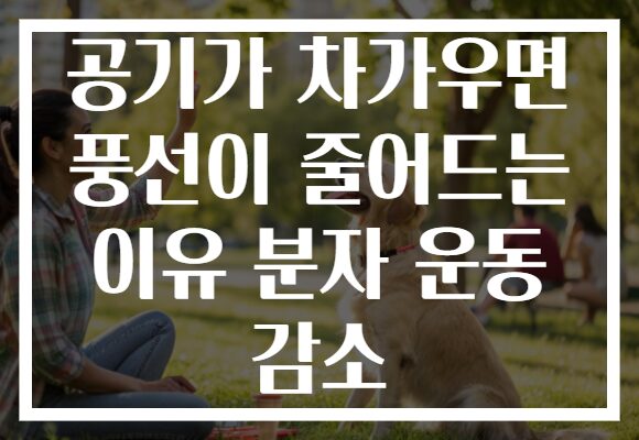 공기가 차가우면 풍선이 줄어드는 이유 분자 운동 감소 공기가 차가우면 풍선이 줄어드는 이유 분자 운동 감소