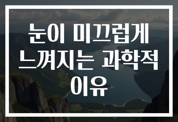 눈이 미끄럽게 느껴지는 과학적 이유 눈이 미끄럽게 느껴지는 과학적 이유