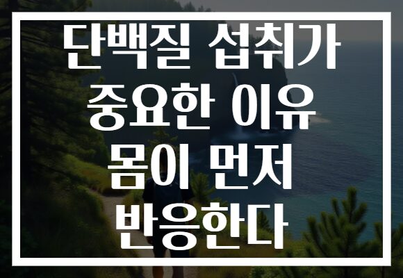 단백질 섭취가 중요한 이유 몸이 먼저 반응한다
