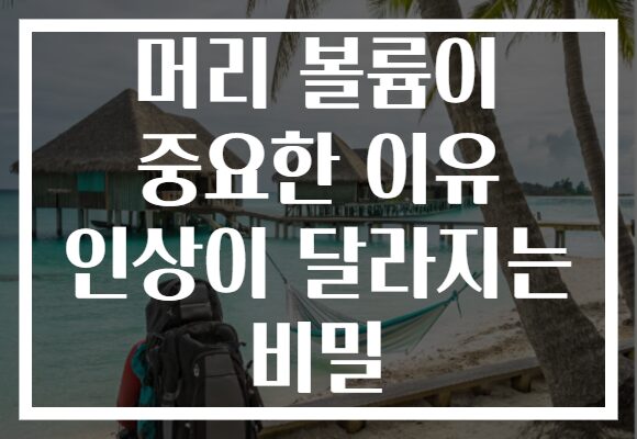 머리 볼륨이 중요한 이유 인상이 달라지는 비밀 머리 볼륨이 중요한 이유 인상이 달라지는 비밀