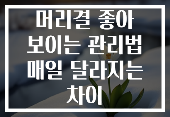 머리결 좋아 보이는 관리법 매일 달라지는 차이