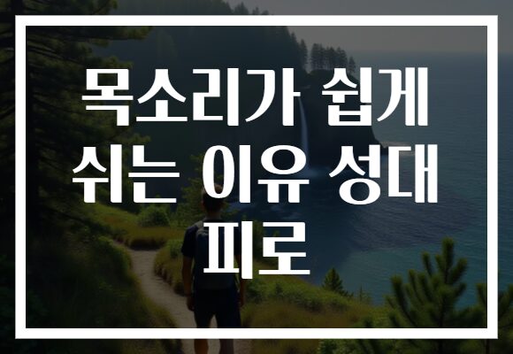 목소리가 쉽게 쉬는 이유 성대 피로