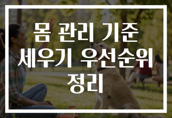 몸 관리 기준 세우기 우선순위 정리 몸 관리 기준 세우기 우선순위 정리