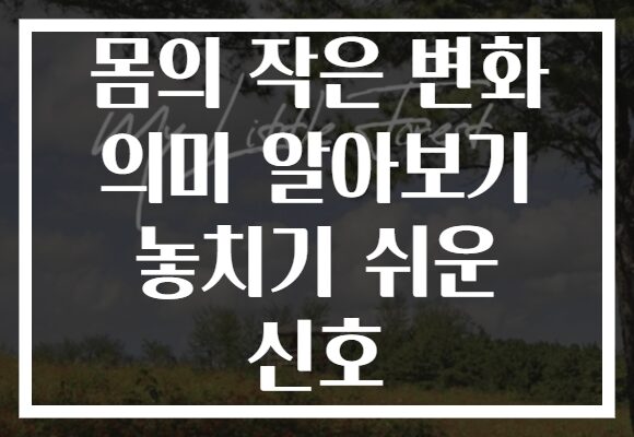 몸의 작은 변화 의미 알아보기 놓치기 쉬운 신호 몸의 작은 변화 의미 알아보기 놓치기 쉬운 신호