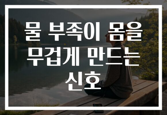 물 부족이 몸을 무겁게 만드는 신호 물 부족이 몸을 무겁게 만드는 신호