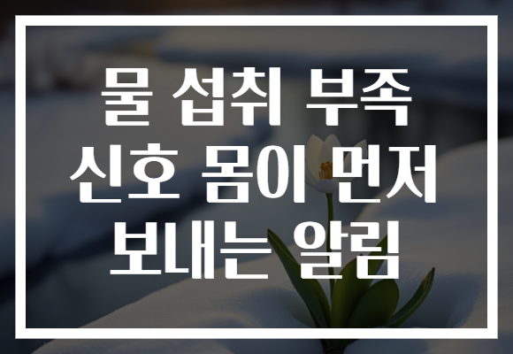 물 섭취 부족 신호 몸이 먼저 보내는 알림