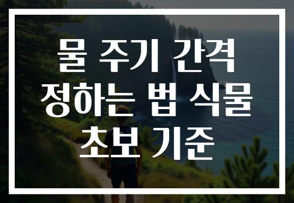 물 주기 간격 정하는 법 식물 초보 기준