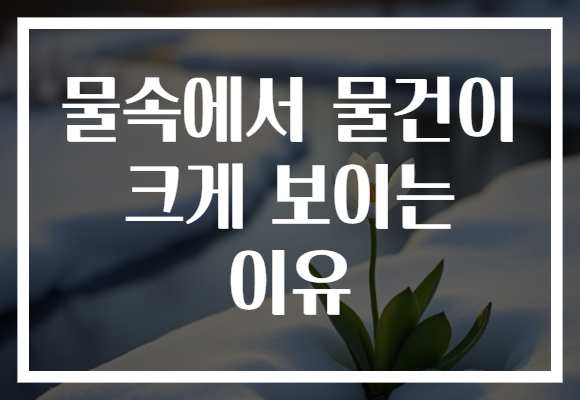 물속에서 물건이 크게 보이는 이유 물속에서 물건이 크게 보이는 이유