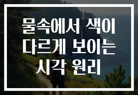 물속에서 색이 다르게 보이는 시각 원리