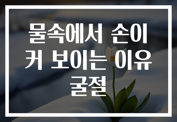 물속에서 손이 커 보이는 이유 굴절 물속에서 손이 커 보이는 이유 굴절