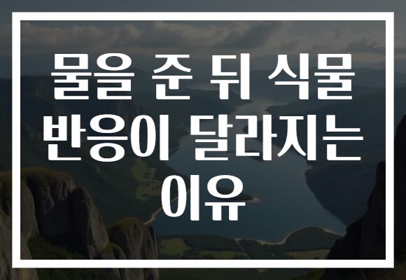 물을 준 뒤 식물 반응이 달라지는 이유
