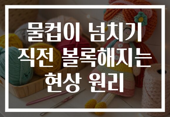 물컵이 넘치기 직전 볼록해지는 현상 원리 물컵이 넘치기 직전 볼록해지는 현상 원리