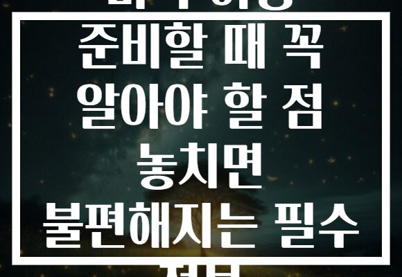 미국 여행 준비할 때 꼭 알아야 할 점 놓치면 불편해지는 필수 정보