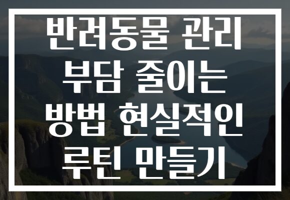 반려동물 관리 부담 줄이는 방법 현실적인 루틴 만들기