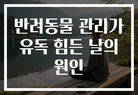 반려동물 관리가 유독 힘든 날의 원인 반려동물 관리가 유독 힘든 날의 원인