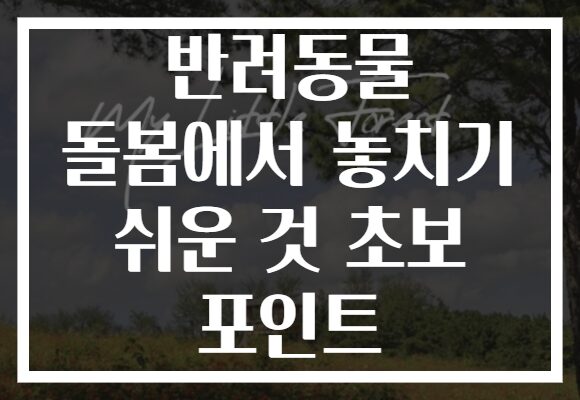 반려동물 돌봄에서 놓치기 쉬운 것 초보 포인트