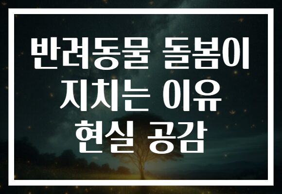 반려동물 돌봄이 지치는 이유 현실 공감