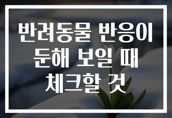 반려동물 반응이 둔해 보일 때 체크할 것 반려동물 반응이 둔해 보일 때 체크할 것