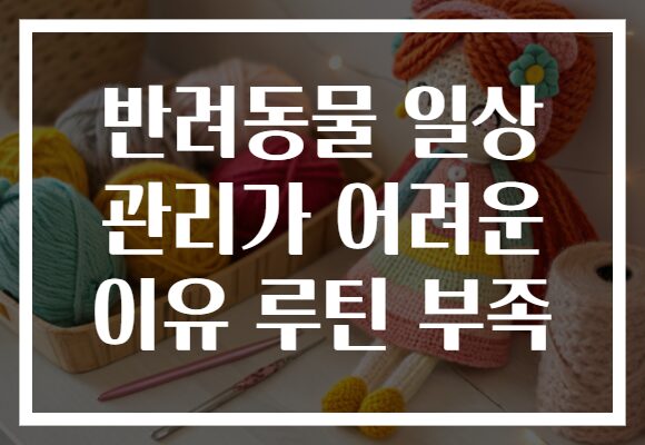 반려동물 일상 관리가 어려운 이유 루틴 부족