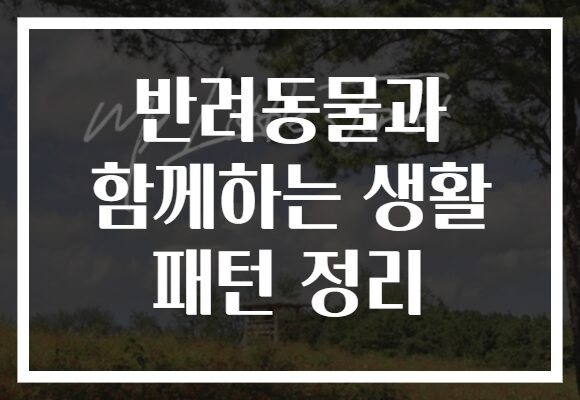 반려동물과 함께하는 생활 패턴 정리