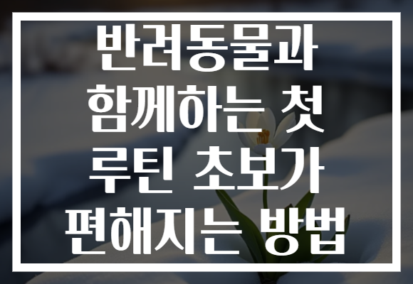 반려동물과 함께하는 첫 루틴 초보가 편해지는 방법 반려동물과 함께하는 첫 루틴 초보가 편해지는 방법