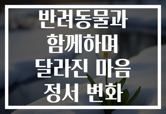 반려동물과 함께하며 달라진 마음 정서 변화