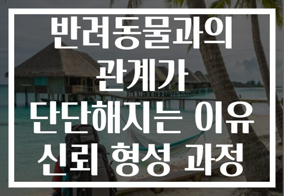 반려동물과의 관계가 단단해지는 이유 신뢰 형성 과정