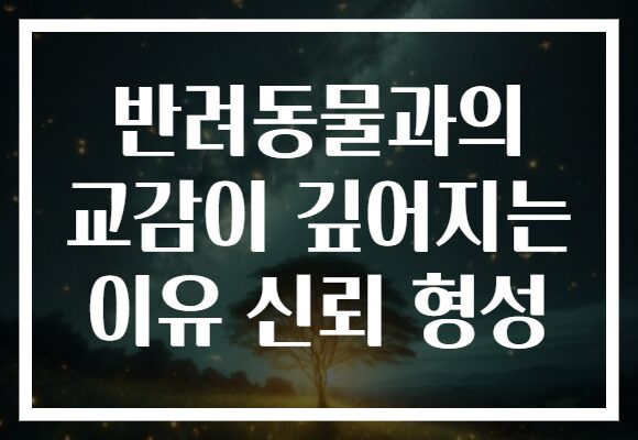 반려동물과의 교감이 깊어지는 이유 신뢰 형성 반려동물과의 교감이 깊어지는 이유 신뢰 형성