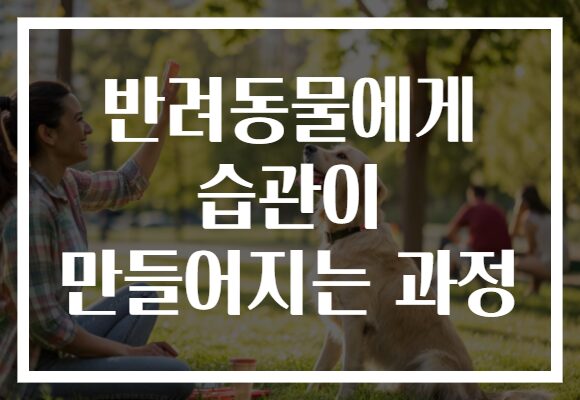 반려동물에게 습관이 만들어지는 과정