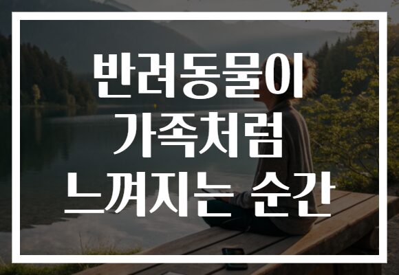 반려동물이 가족처럼 느껴지는 순간