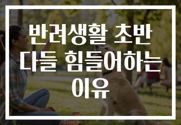 반려생활 초반 다들 힘들어하는 이유