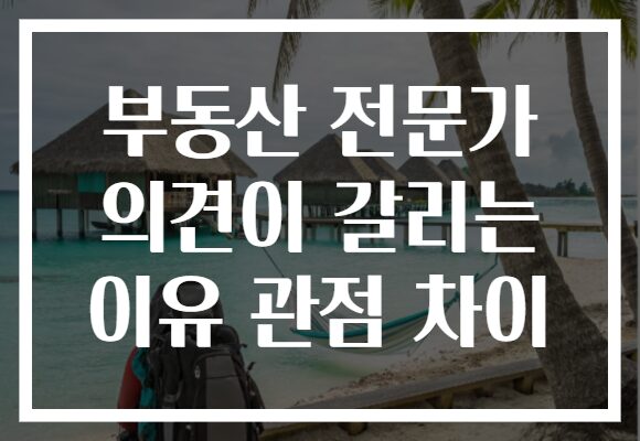 부동산 전문가 의견이 갈리는 이유 관점 차이 부동산 전문가 의견이 갈리는 이유 관점 차이