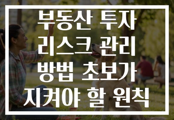 부동산 투자 리스크 관리 방법 초보가 지켜야 할 원칙