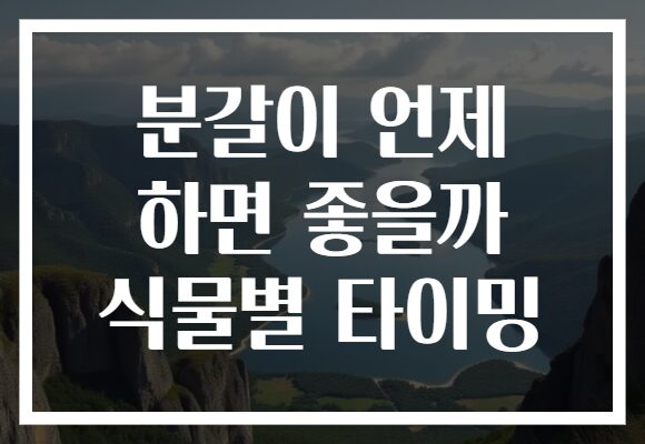 분갈이 언제 하면 좋을까 식물별 타이밍 분갈이 언제 하면 좋을까 식물별 타이밍