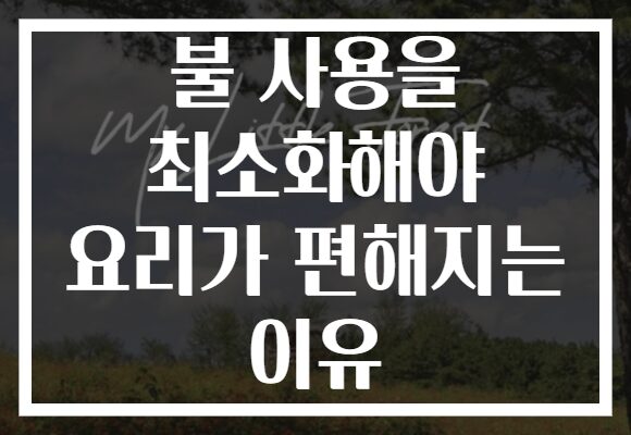 불 사용을 최소화해야 요리가 편해지는 이유 불 사용을 최소화해야 요리가 편해지는 이유