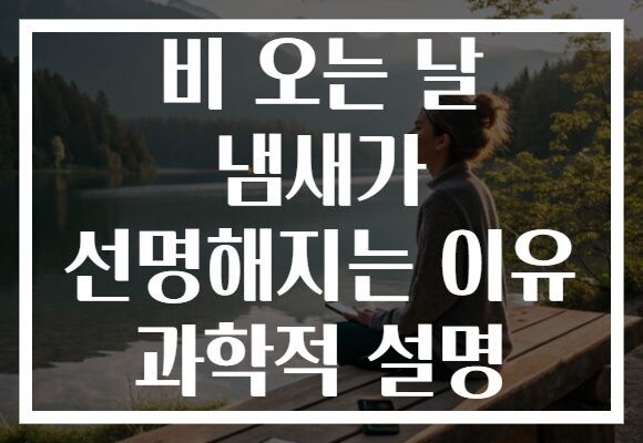 비 오는 날 냄새가 선명해지는 이유 과학적 설명