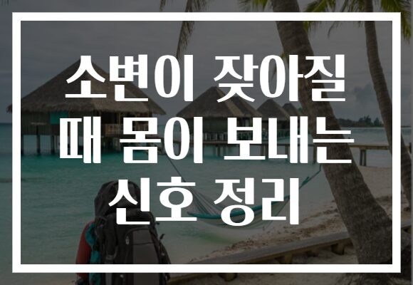 소변이 잦아질 때 몸이 보내는 신호 정리 소변이 잦아질 때 몸이 보내는 신호 정리