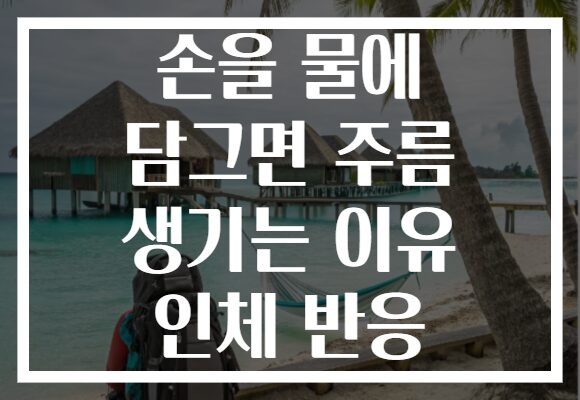 손을 물에 담그면 주름 생기는 이유 인체 반응