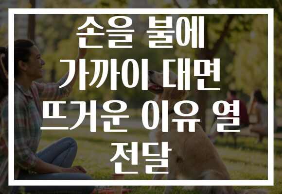 손을 불에 가까이 대면 뜨거운 이유 열 전달