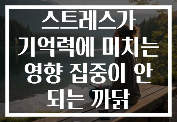 스트레스가 기억력에 미치는 영향 집중이 안 되는 까닭