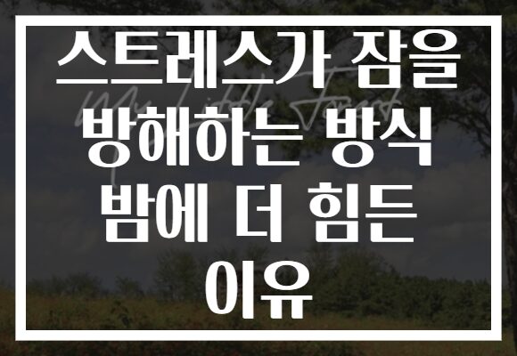 스트레스가 잠을 방해하는 방식 밤에 더 힘든 이유