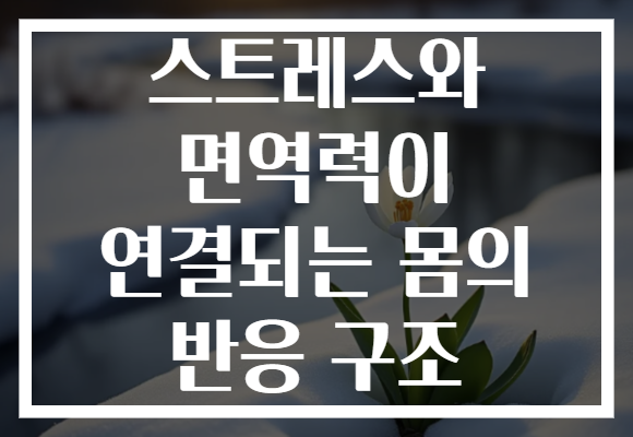 스트레스와 면역력이 연결되는 몸의 반응 구조