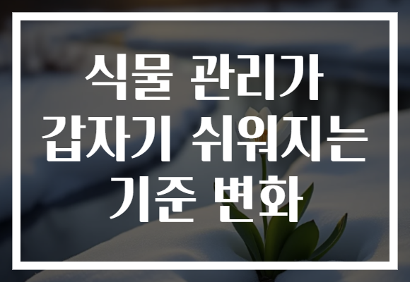식물 관리가 갑자기 쉬워지는 기준 변화