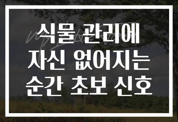 식물 관리에 자신 없어지는 순간 초보 신호
