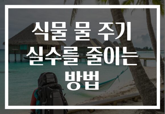 식물 물 주기 실수를 줄이는 방법