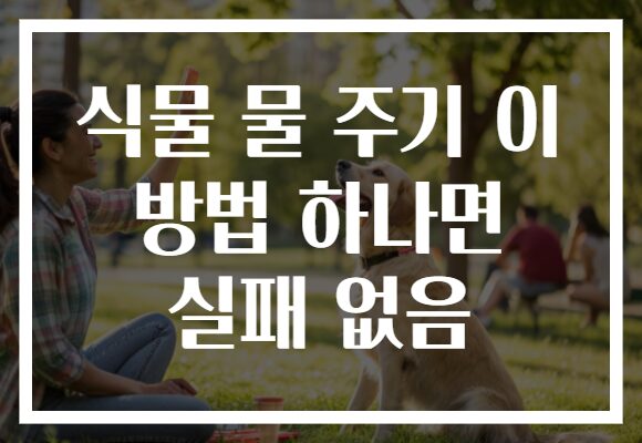 식물 물 주기 이 방법 하나면 실패 없음