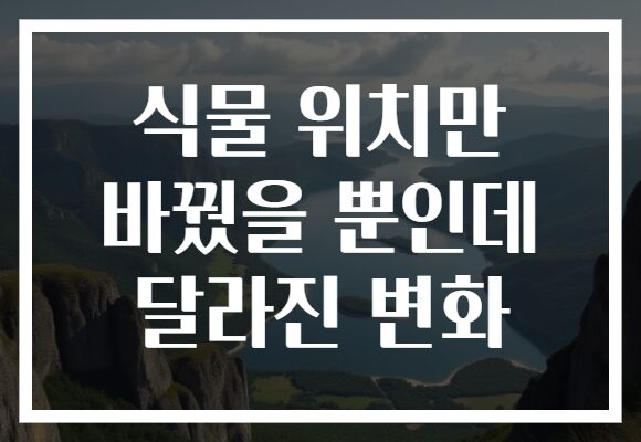 식물 위치만 바꿨을 뿐인데 달라진 변화