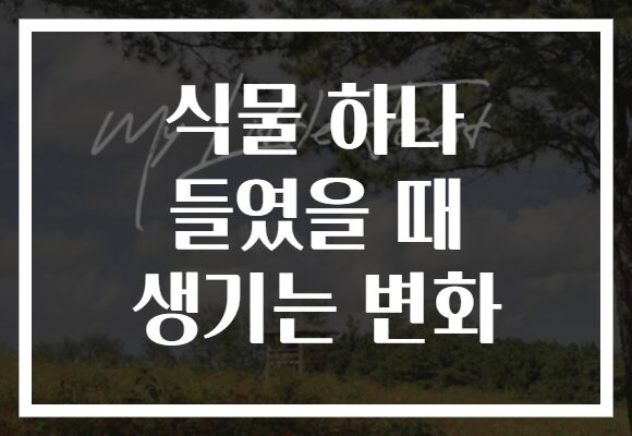 식물 하나 들였을 때 생기는 변화