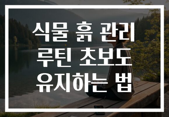 식물 흙 관리 루틴 초보도 유지하는 법