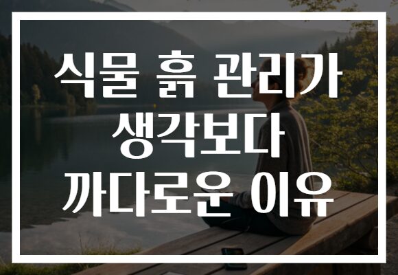 식물 흙 관리가 생각보다 까다로운 이유